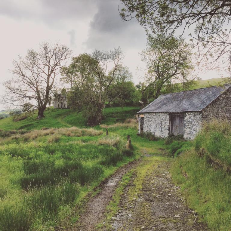 Maes Y Gwaelod Bed & Breakfast Llanwrtyd Wells Екстериор снимка