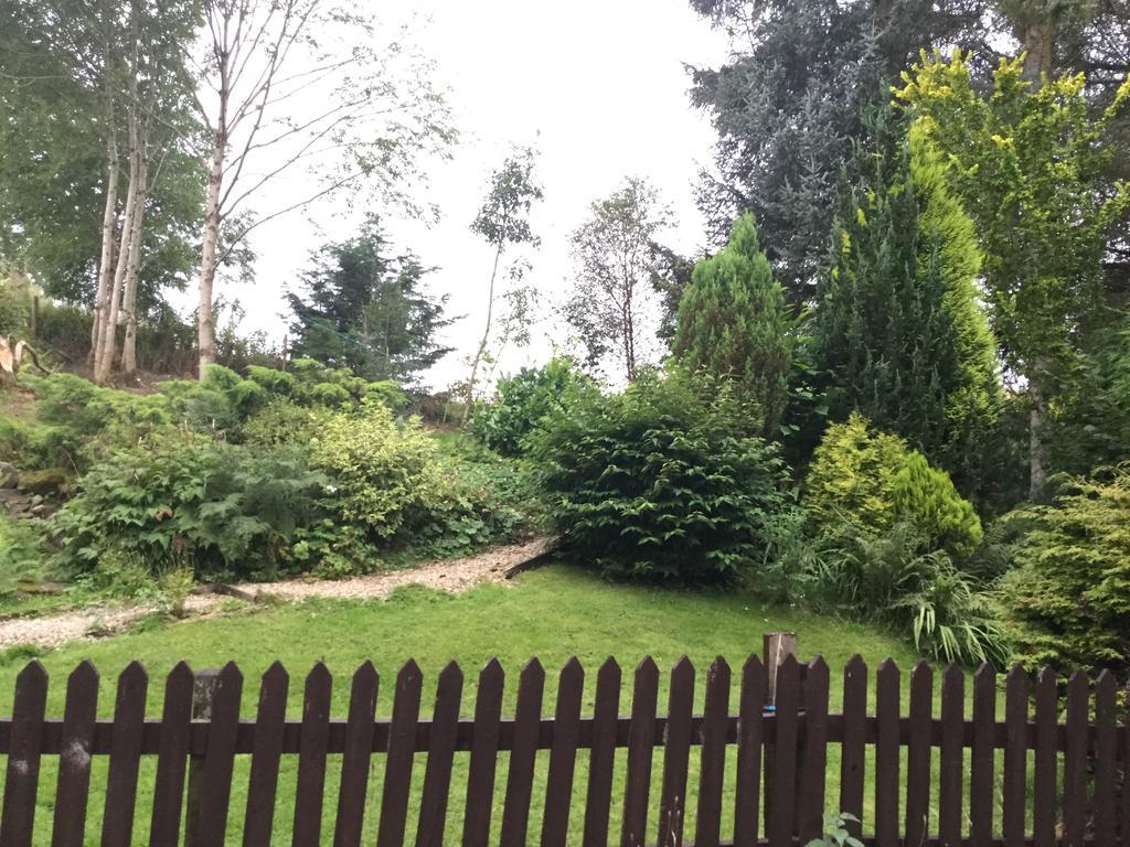 Maes Y Gwaelod Bed & Breakfast Llanwrtyd Wells Екстериор снимка