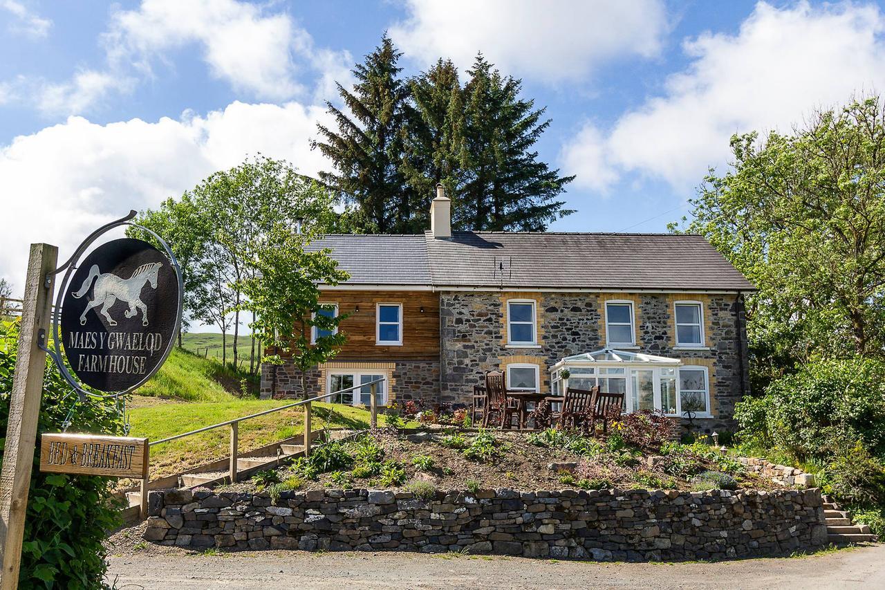Maes Y Gwaelod Bed & Breakfast Llanwrtyd Wells Екстериор снимка